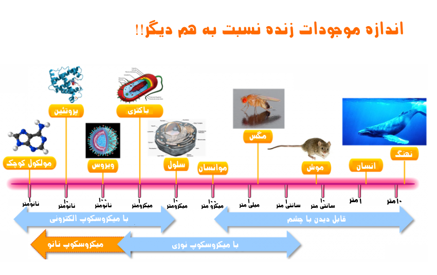 اندازه برخری موجود و عناصر بزرگ! تا ذره بینی ها کوچک!-قسمت اول